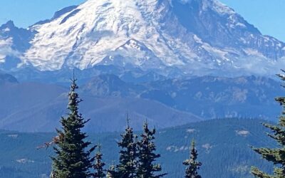 ‘Hupps’ & Mount Rainier